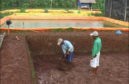 penggalian tanah untuk kolam terpal alas sekam